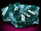 Dioptase on Plancheite from Omaue, Kaokoveld, Namibia