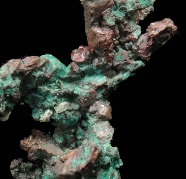 Copper coated with Chrysocolla-Malachite from Bisbee, Warren District, Cochise County, Arizona