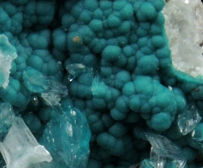 Rosasite with Hemimorphite from 79 Mine, Banner District, near Hayden, Gila County, Arizona