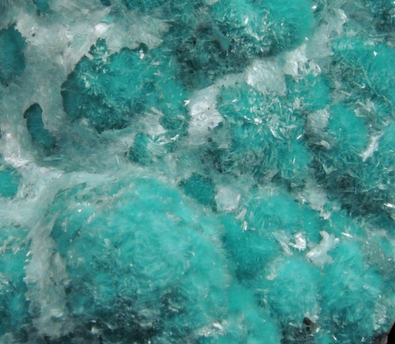 Aurichalcite from 79 Mine, Banner District, near Hayden, Gila County, Arizona