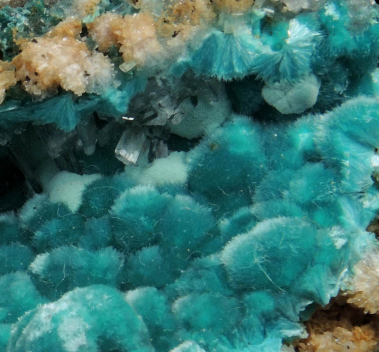 Rosasite with Hemimorphite from 79 Mine, Banner District, near Hayden, Gila County, Arizona