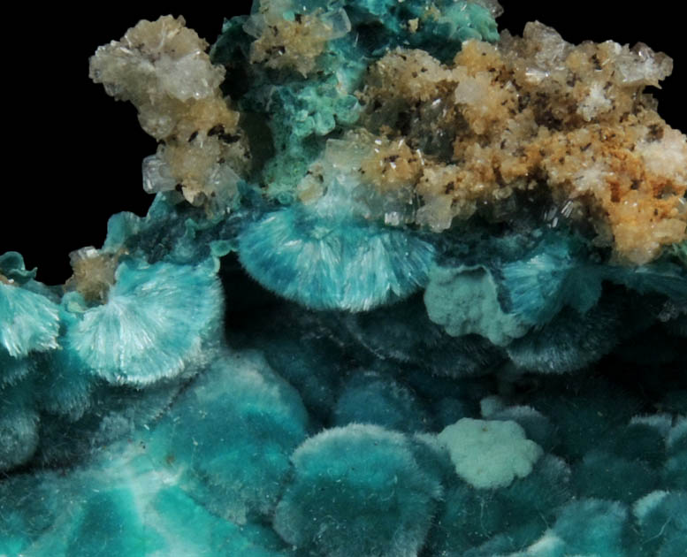 Rosasite with Hemimorphite from 79 Mine, Banner District, near Hayden, Gila County, Arizona