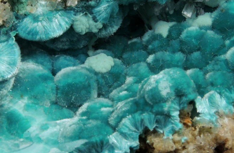 Rosasite with Hemimorphite from 79 Mine, Banner District, near Hayden, Gila County, Arizona