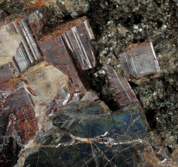 Rutile and Ilmenite in Biotite-Quartz from Davis Farm, Bethel, Windsor County, Vermont