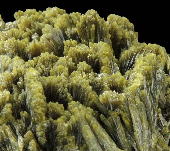 Epidote from Cantera de los Serranos, Alicante, Valenciana, Spain