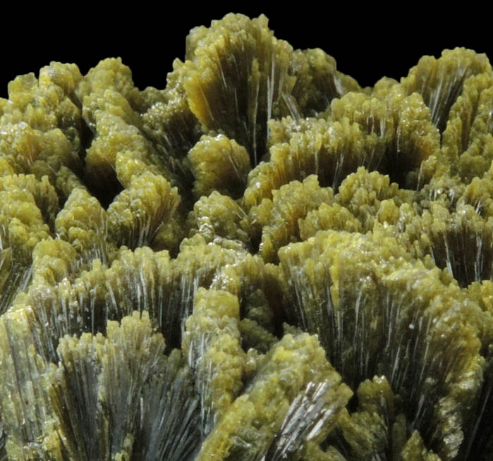 Epidote from Cantera de los Serranos, Alicante, Valenciana, Spain