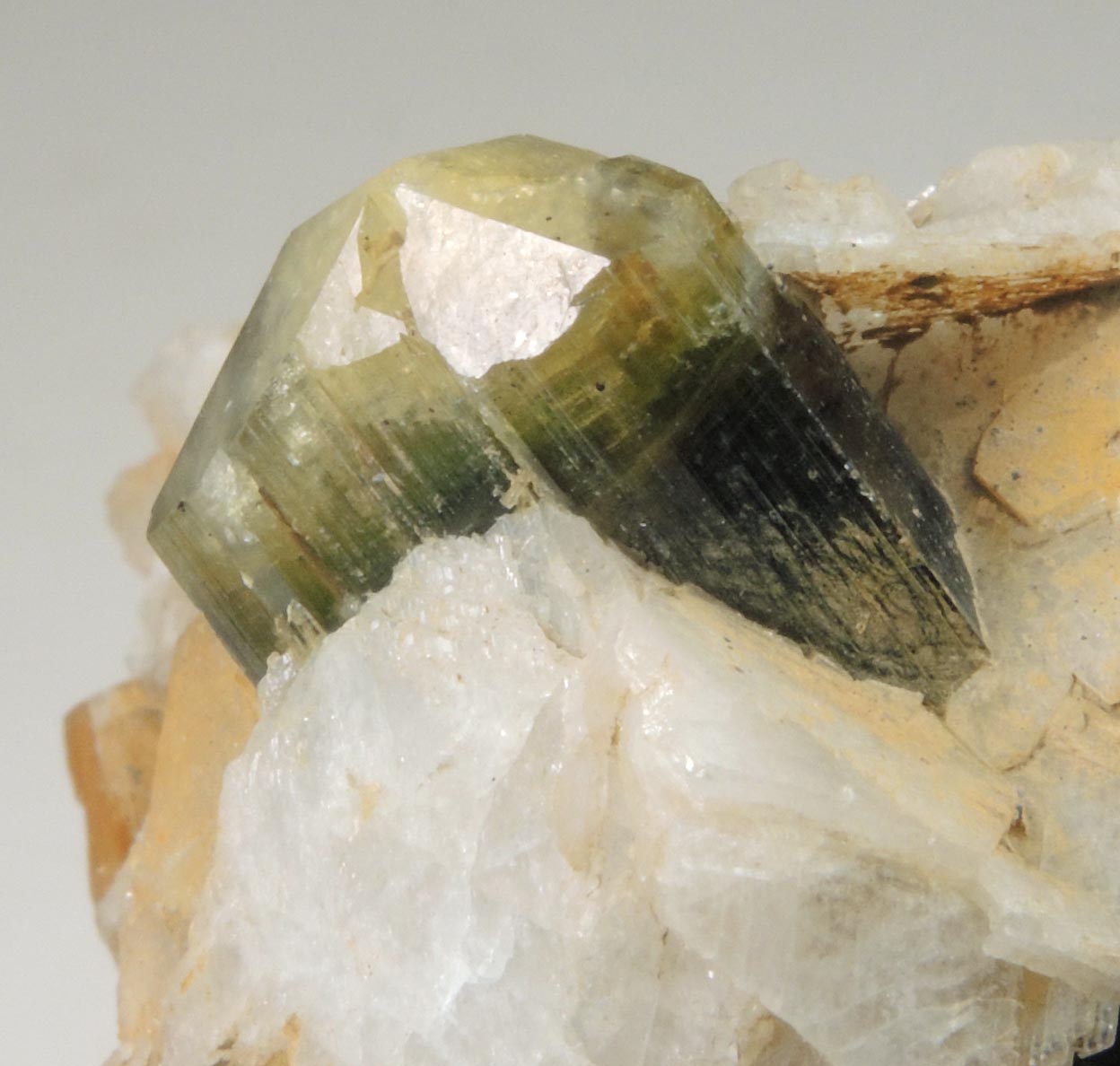 Elbaite Tourmaline with Albite var. Cleavelandite from Stak Nala, Skardu Road, Baltistan, Gilgit-Baltistan, Pakistan