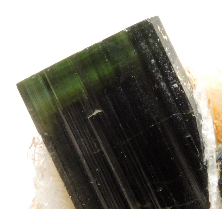 Elbaite Tourmaline with Albite var. Cleavelandite from Stak Nala, Skardu Road, Baltistan, Gilgit-Baltistan, Pakistan