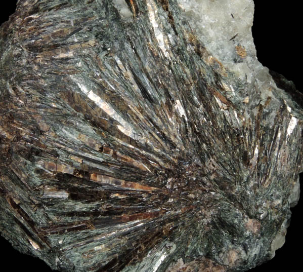 Astrophyllite with Actinolite from Khibiny Massif, Kola Peninsula, Murmanskaja Oblast', Northern Region, Russia