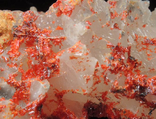 Realgar on Calcite from Getchell District, Humboldt County, Nevada