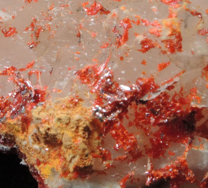 Realgar on Calcite from Getchell District, Humboldt County, Nevada