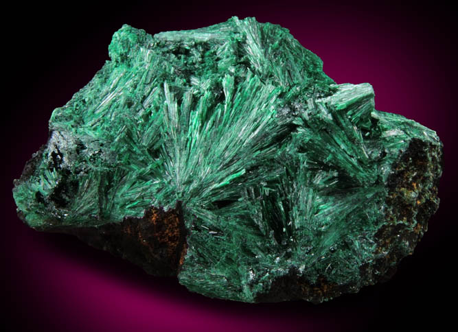 Malachite from Kambove Mining District, 130 km NW of Lubumbashi, Katanga Copperbelt, Lualaba Province, Democratic Republic of the Congo