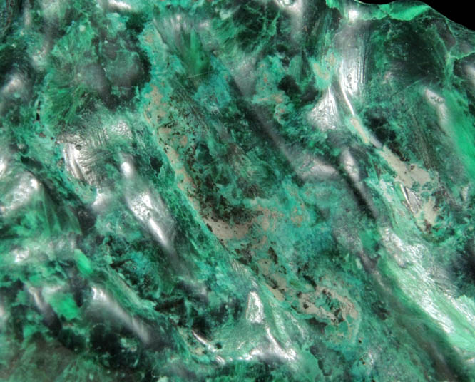 Malachite (polished) from Kolwezi Mining District, 240 km WNW of Lubumbashi, Katanga Copperbelt, Lualaba Province, Democratic Republic of the Congo