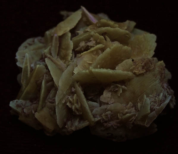 Gypsum var. Desert Rose from Death Valley Playa, Inyo County, California