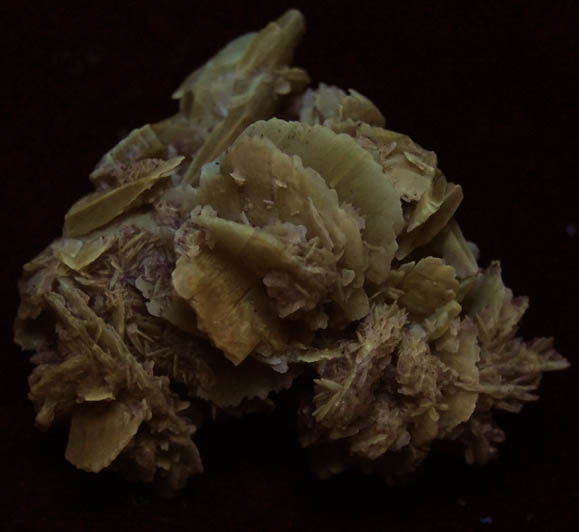 Gypsum var. Desert Rose from Death Valley Playa, Inyo County, California