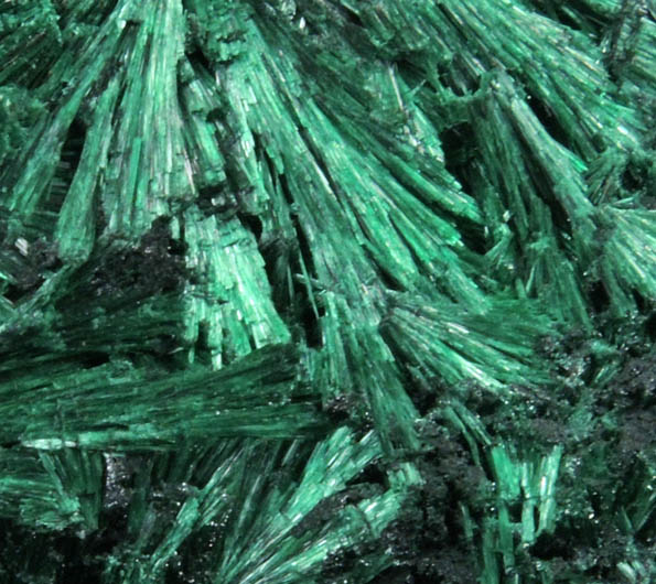 Malachite from Kambove Mining District, 130 km NW of Lubumbashi, Katanga Copperbelt, Lualaba Province, Democratic Republic of the Congo