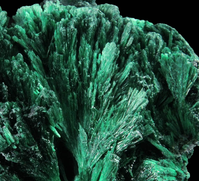 Malachite from Kolwezi Mining District, 240 km WNW of  Lubumbashi, Katanga Copperbelt, Lualaba Province, Democratic Republic of the Congo