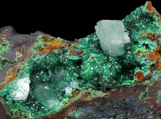 Calcite on Cuprian Adamite with Austinite from Mina Ojuela, Mapimi, Durango, Mexico