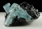 Beryl var. Aquamarine on Schorl Tourmaline from Erongo Mountains, 20 km north of Usakos, Damaraland, Namibia