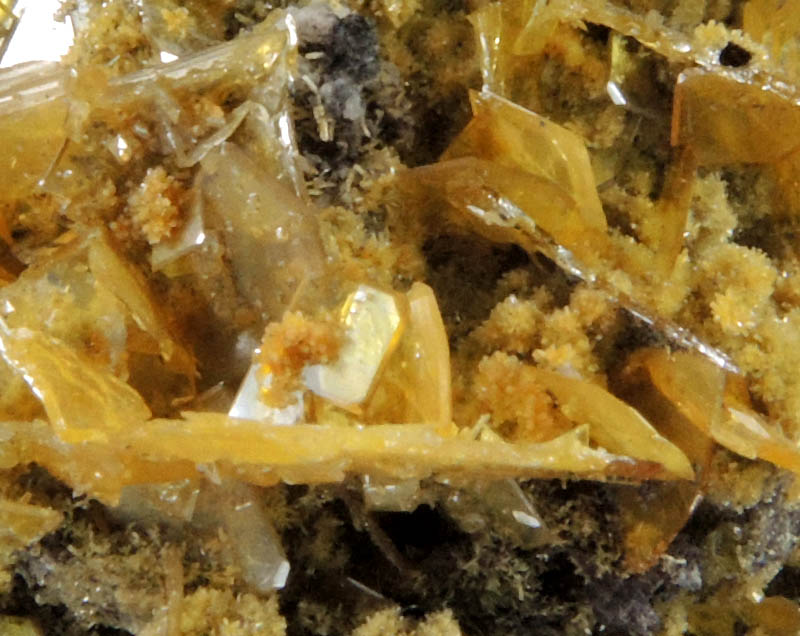 Mimetite and Wulfenite from San Francisco Mine, Cerro Prieto, north of Cucurpe, Sonora, Mexico