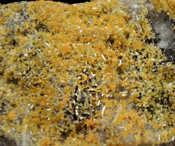 Mimetite and Wulfenite from San Francisco Mine, Cerro Prieto, north of Cucurpe, Sonora, Mexico