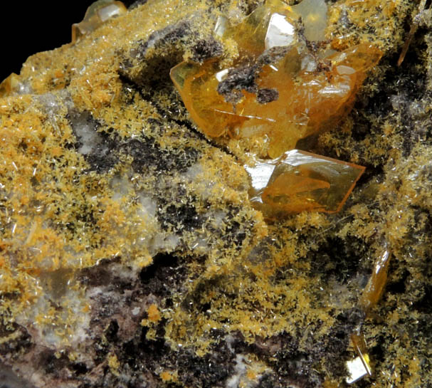 Mimetite and Wulfenite from San Francisco Mine, Cerro Prieto, north of Cucurpe, Sonora, Mexico