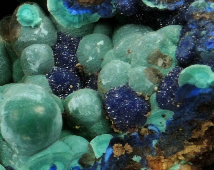 Malachite over Azurite from Concepcin del Oro, Zacatecas, Mexico