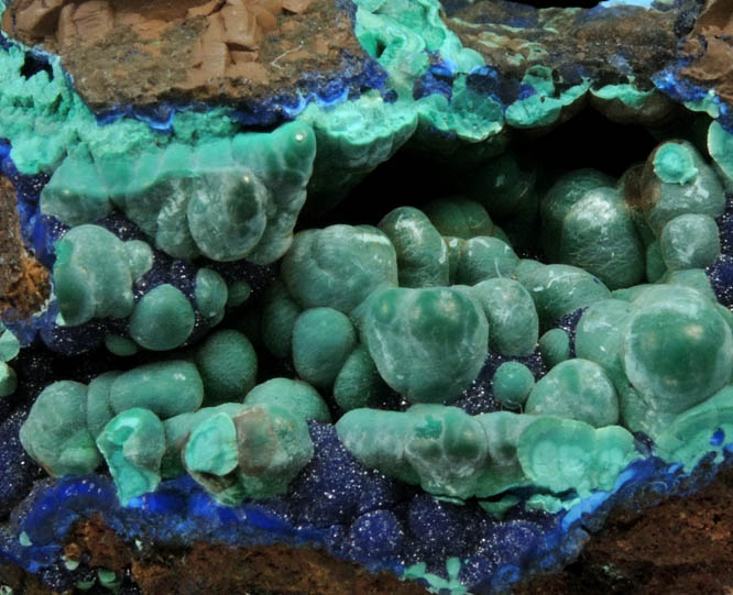 Malachite over Azurite from Concepcin del Oro, Zacatecas, Mexico