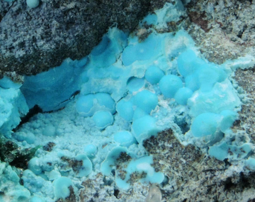 Chrysocolla with Malachite from Kolwezi Mining District, 240 km WNW of  Lubumbashi, Katanga Copperbelt, Lualaba Province, Democratic Republic of the Congo