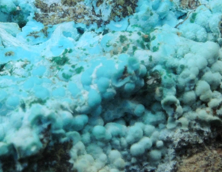 Chrysocolla with Malachite from Kolwezi Mining District, 240 km WNW of  Lubumbashi, Katanga Copperbelt, Lualaba Province, Democratic Republic of the Congo