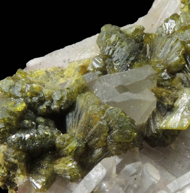 Epidote on Quartz from Imilchil, High Atlas Mountains, Errachidia Province, Morocco