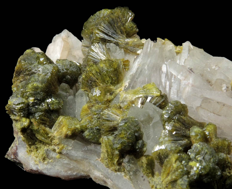 Epidote on Quartz from Imilchil, High Atlas Mountains, Errachidia Province, Morocco