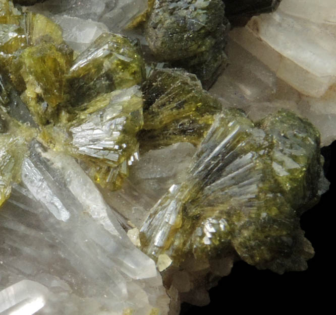 Epidote on Quartz from Imilchil, High Atlas Mountains, Errachidia Province, Morocco