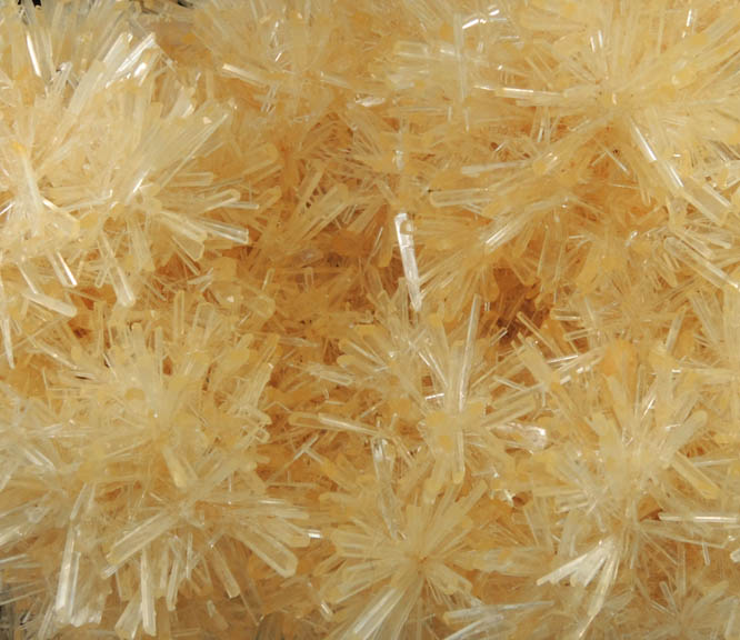 Gypsum from Pernatty Lagoon, Mount Gunson, South Australia, Australia