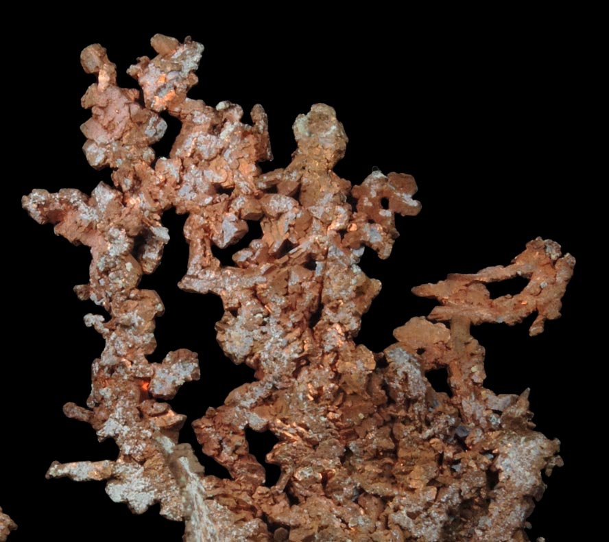 Copper (dendritic crystals) from Cape Spencer, Nova Scotia, Canada