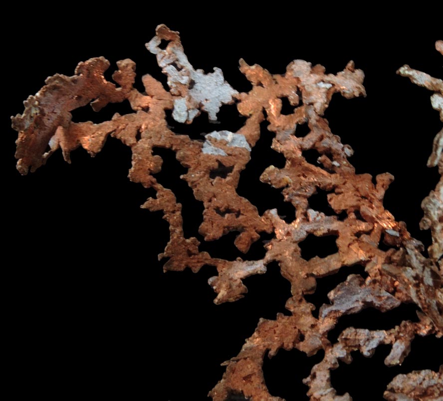 Copper (dendritic crystals) from Cape Spencer, Nova Scotia, Canada