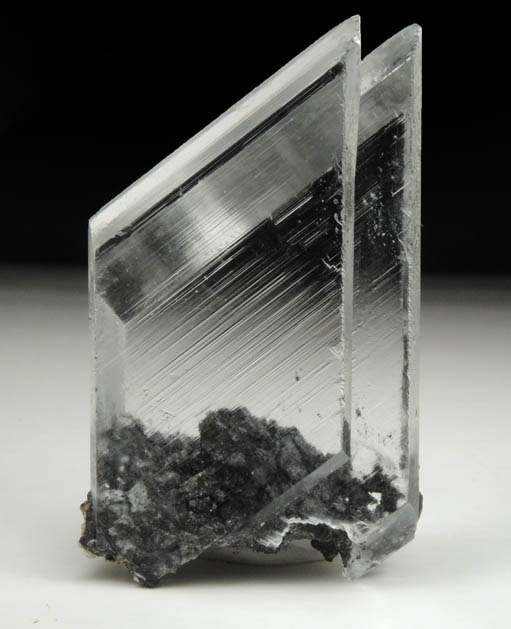 Gypsum var. Selenite from Naica District, Saucillo, Chihuahua, Mexico