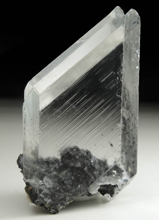 Gypsum var. Selenite from Naica District, Saucillo, Chihuahua, Mexico