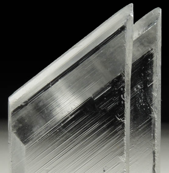 Gypsum var. Selenite from Naica District, Saucillo, Chihuahua, Mexico