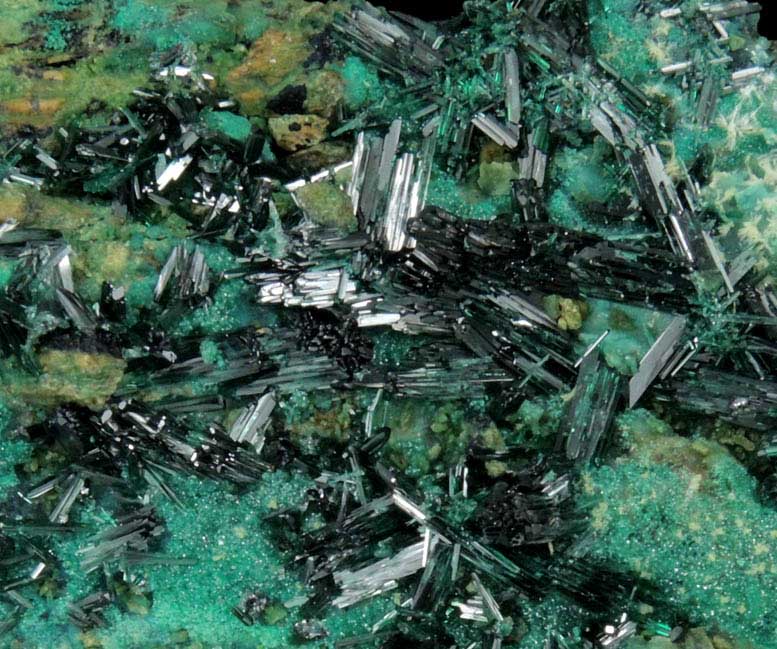 Atacamite with Pseudomalachite on Chrysocolla from Copiapo, Atacama Desert, Chile (Type Locality for Atacamite)