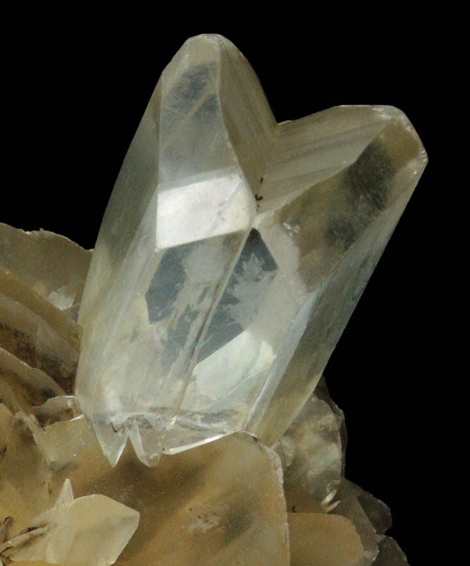 Gypsum (with several twinned crystals) from Red River Floodway, Winnipeg, Manitoba, Canada