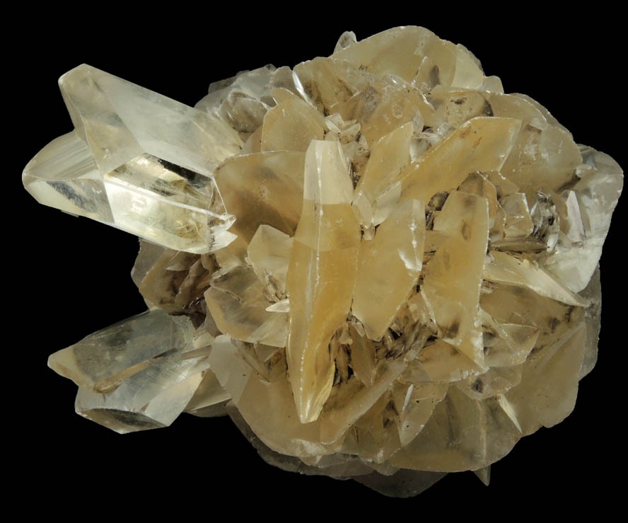 Gypsum (with several twinned crystals) from Red River Floodway, Winnipeg, Manitoba, Canada