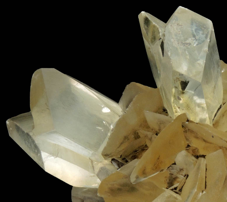 Gypsum (with several twinned crystals) from Red River Floodway, Winnipeg, Manitoba, Canada