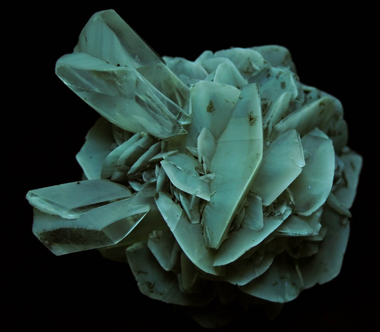 Gypsum (with several twinned crystals) from Red River Floodway, Winnipeg, Manitoba, Canada