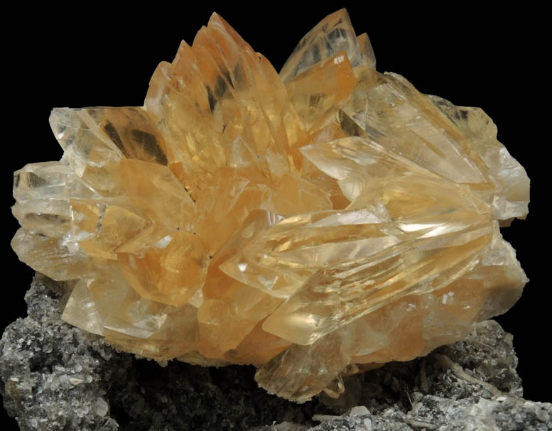 Calcite from Ruck's Pit Quarry, Fort Drum, Okeechobee County, Florida