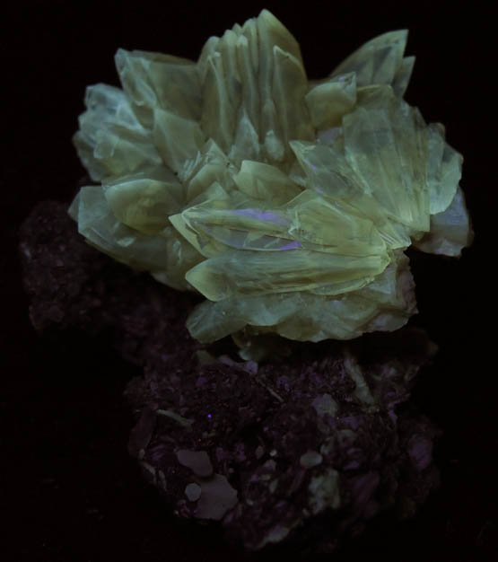 Calcite from Ruck's Pit Quarry, Fort Drum, Okeechobee County, Florida