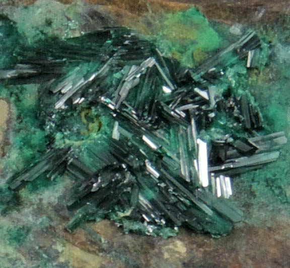 Brochantite from Bisbee, Warren District, Cochise County, Arizona