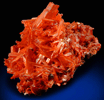 Crocoite from Dundas, Tasmania, Australia