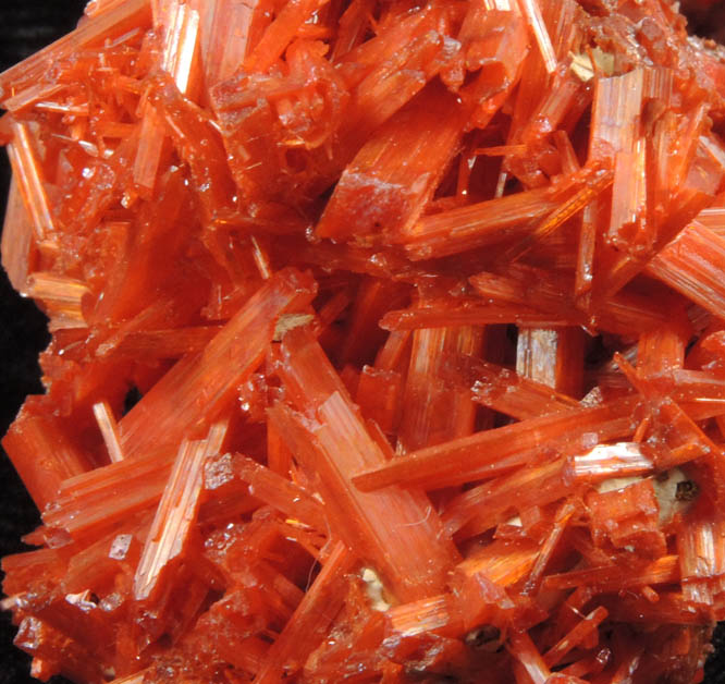 Crocoite from Dundas, Tasmania, Australia