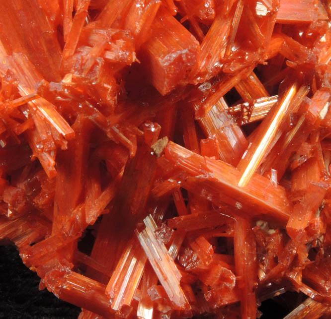 Crocoite from Dundas, Tasmania, Australia